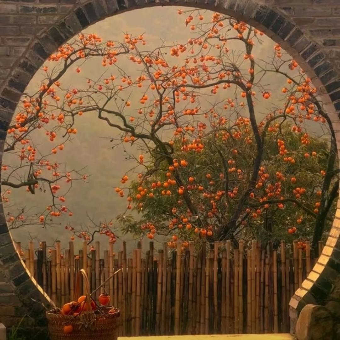 那一抹微笑很淡然