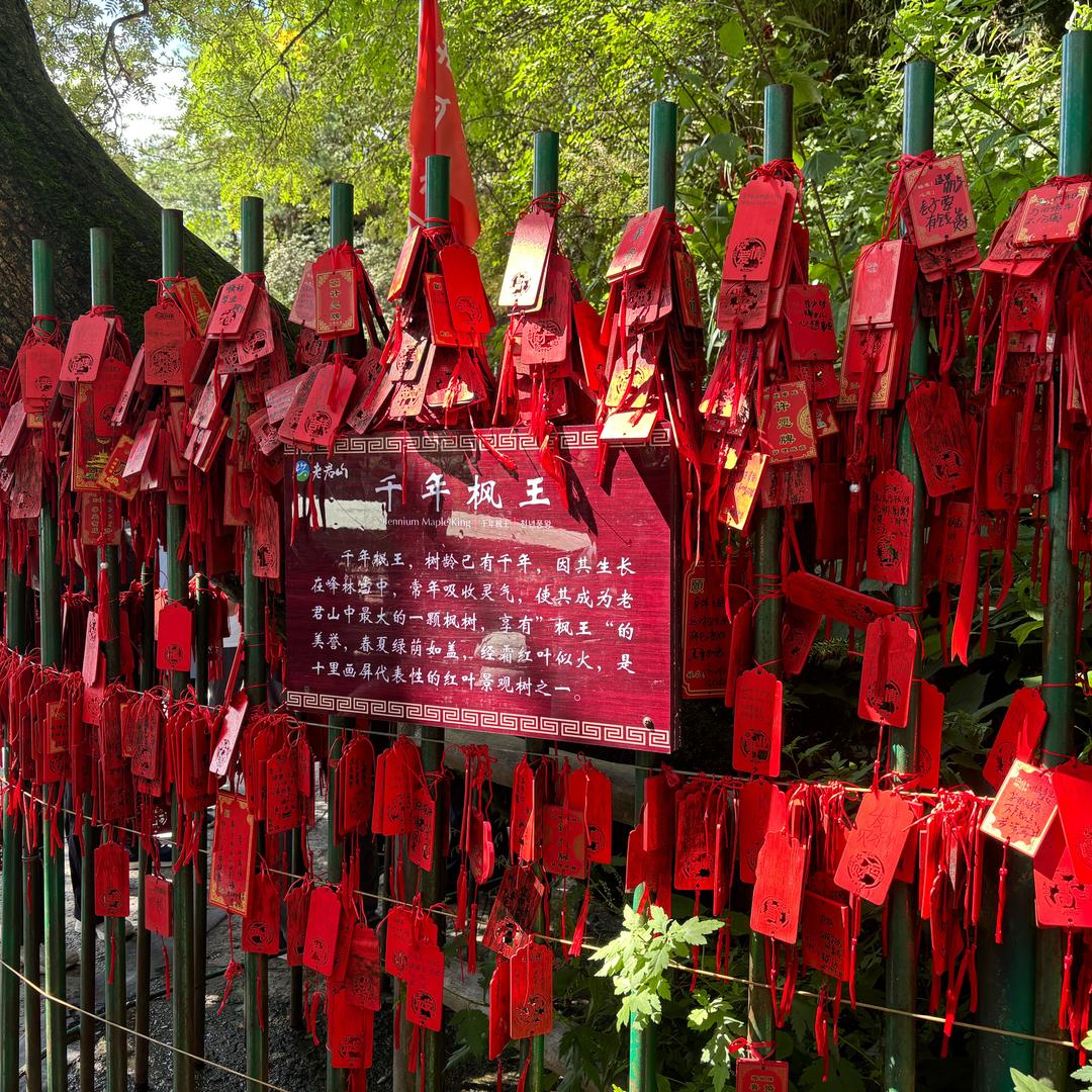 三木*成森（1909）