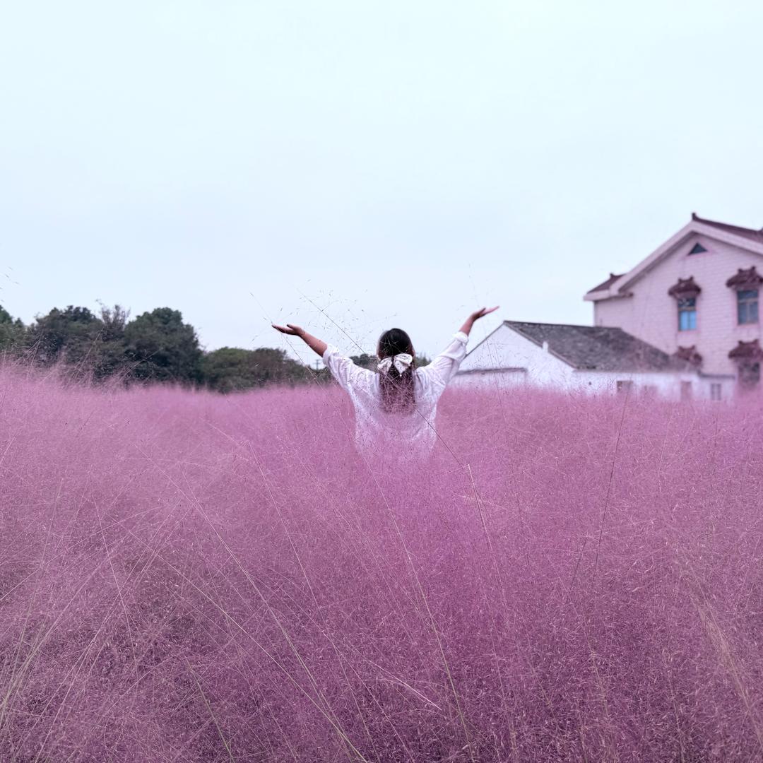 💞 白芍🍀青菜⁵²⁰꧔ꦿ᭄