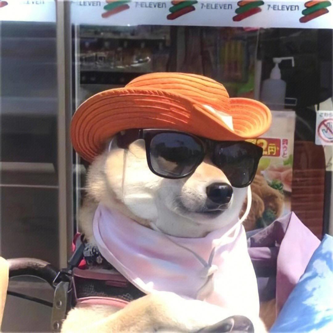 大宝🇨🇳（肩袖损伤停练版）