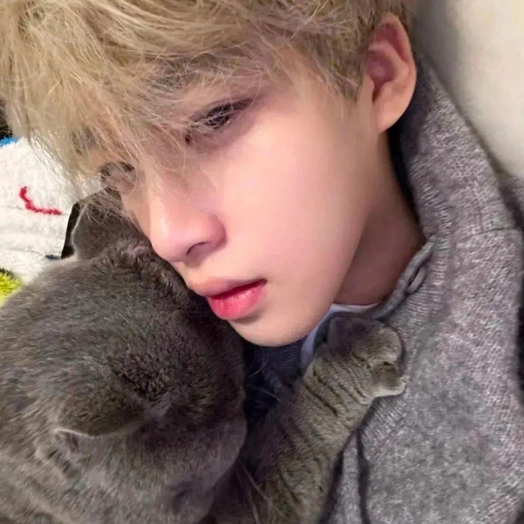 星界形象设计-亚文