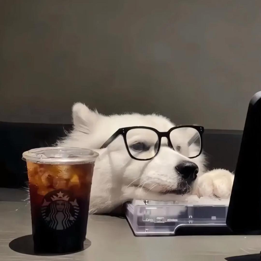 每日科普💗