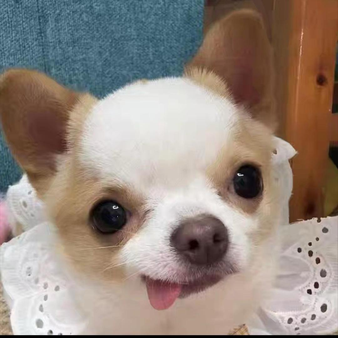 5555