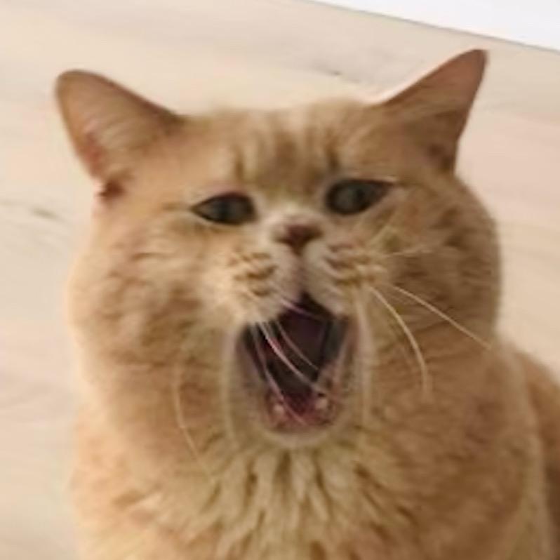 萌宠乐宝