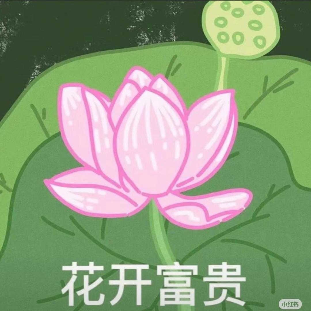 吃不了辣z