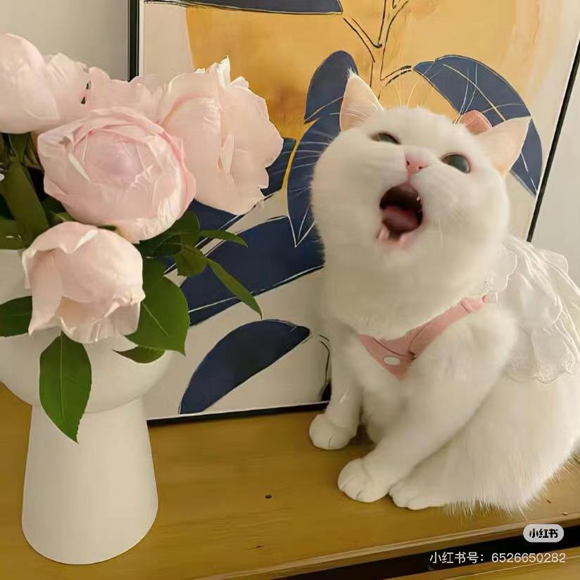 一个W
