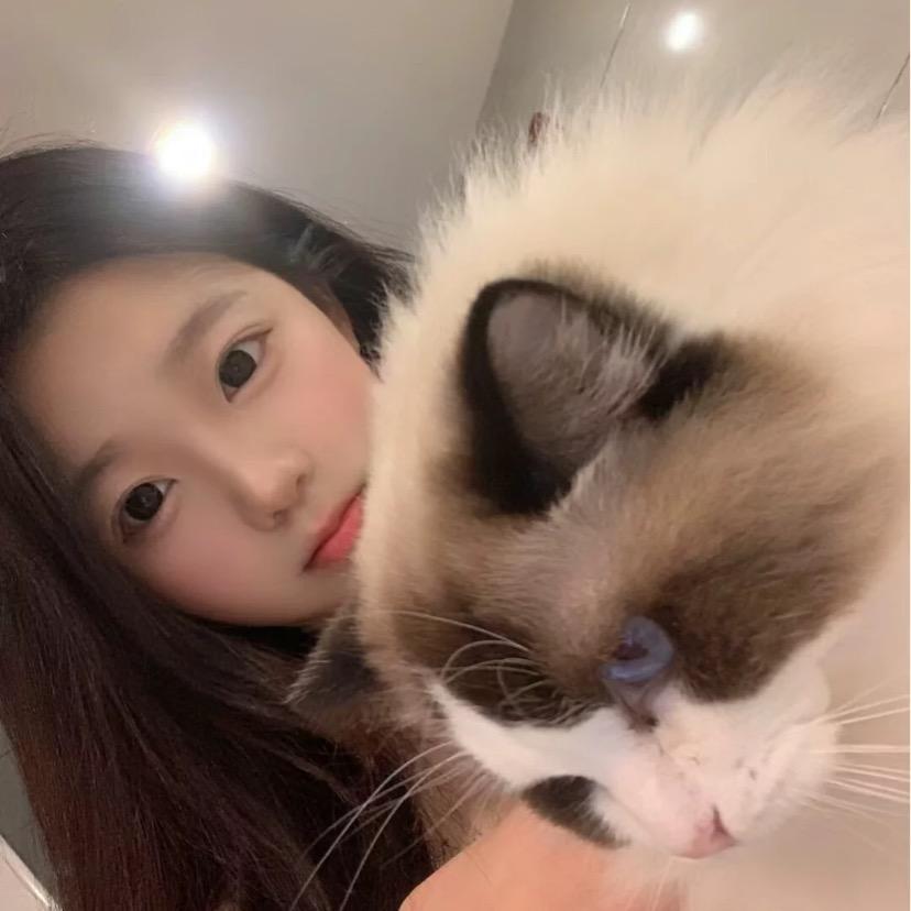 不吃渔