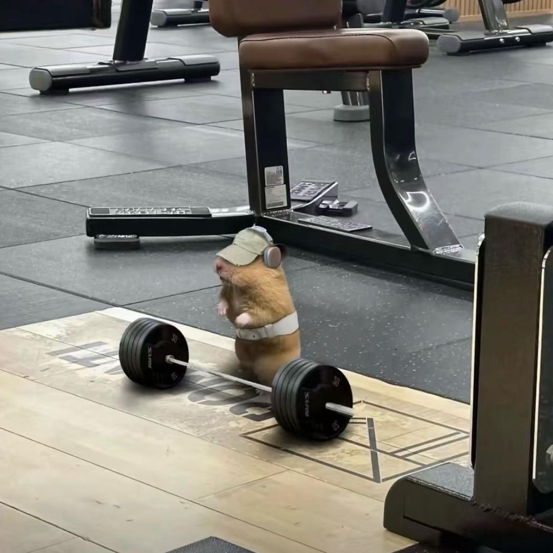 会飞的蟑螂少爷