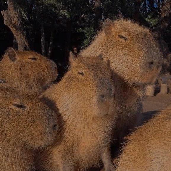 小铎爸爸爱分享