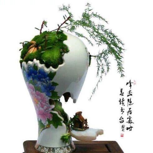 Janechen2017