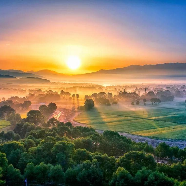 西安若蝶羽生活臻选阁