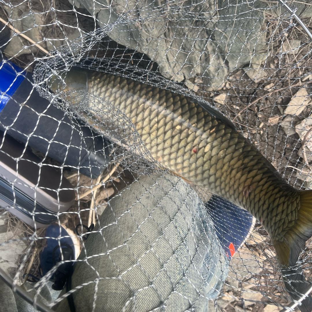 🐠🐠鱼乐无穷···