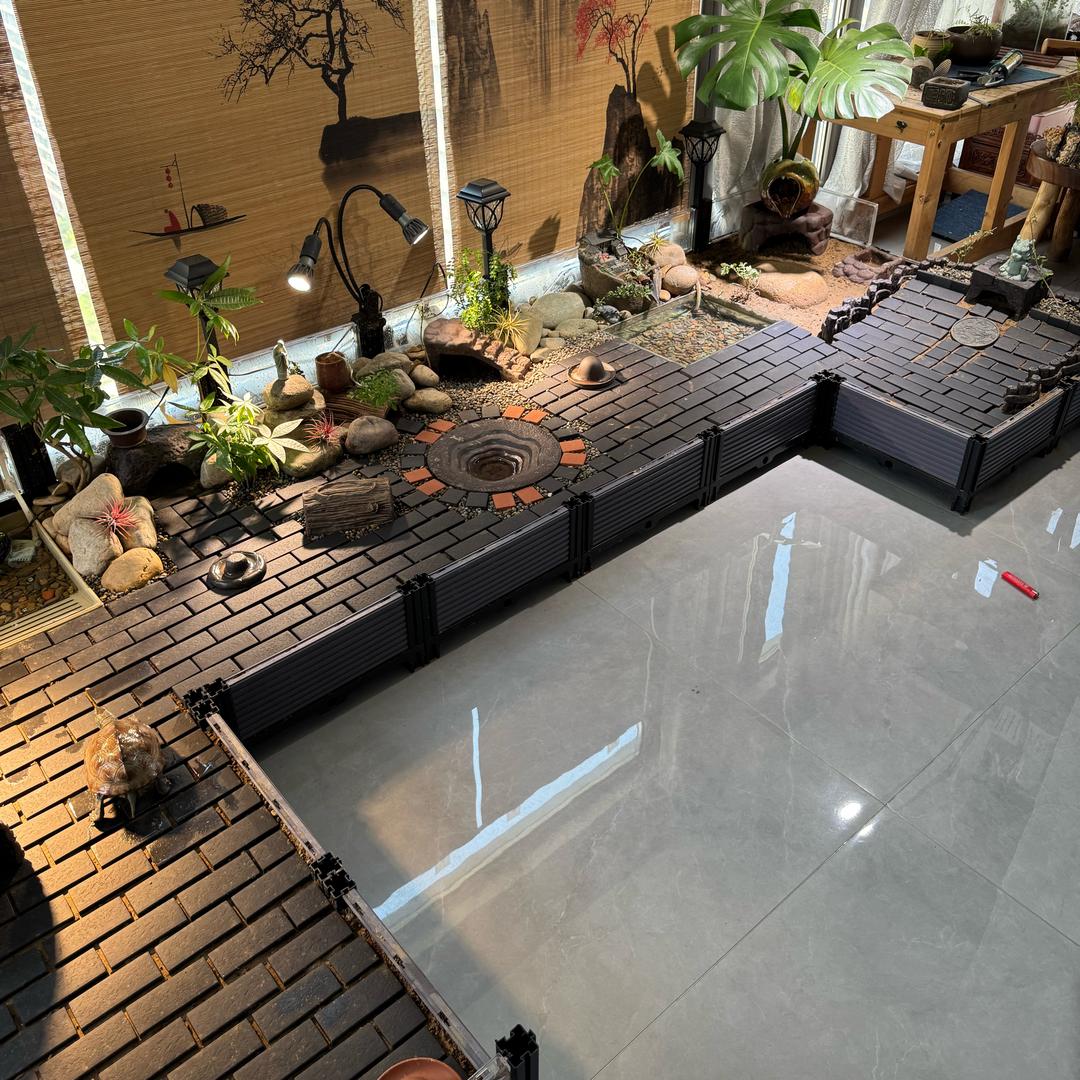 爱龟人懒养龟