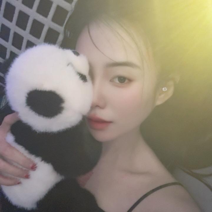 🌙  一 只 眠 楊