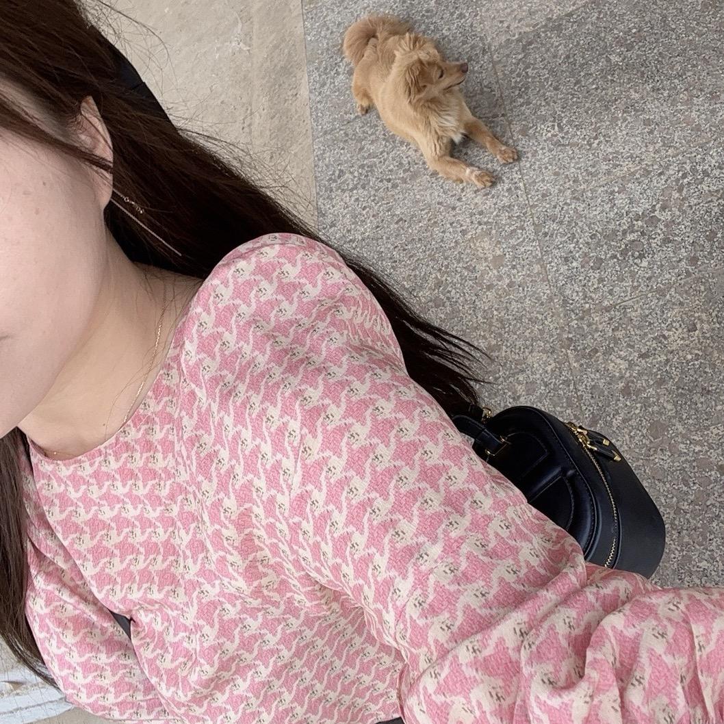 两只珠珠e的vlog