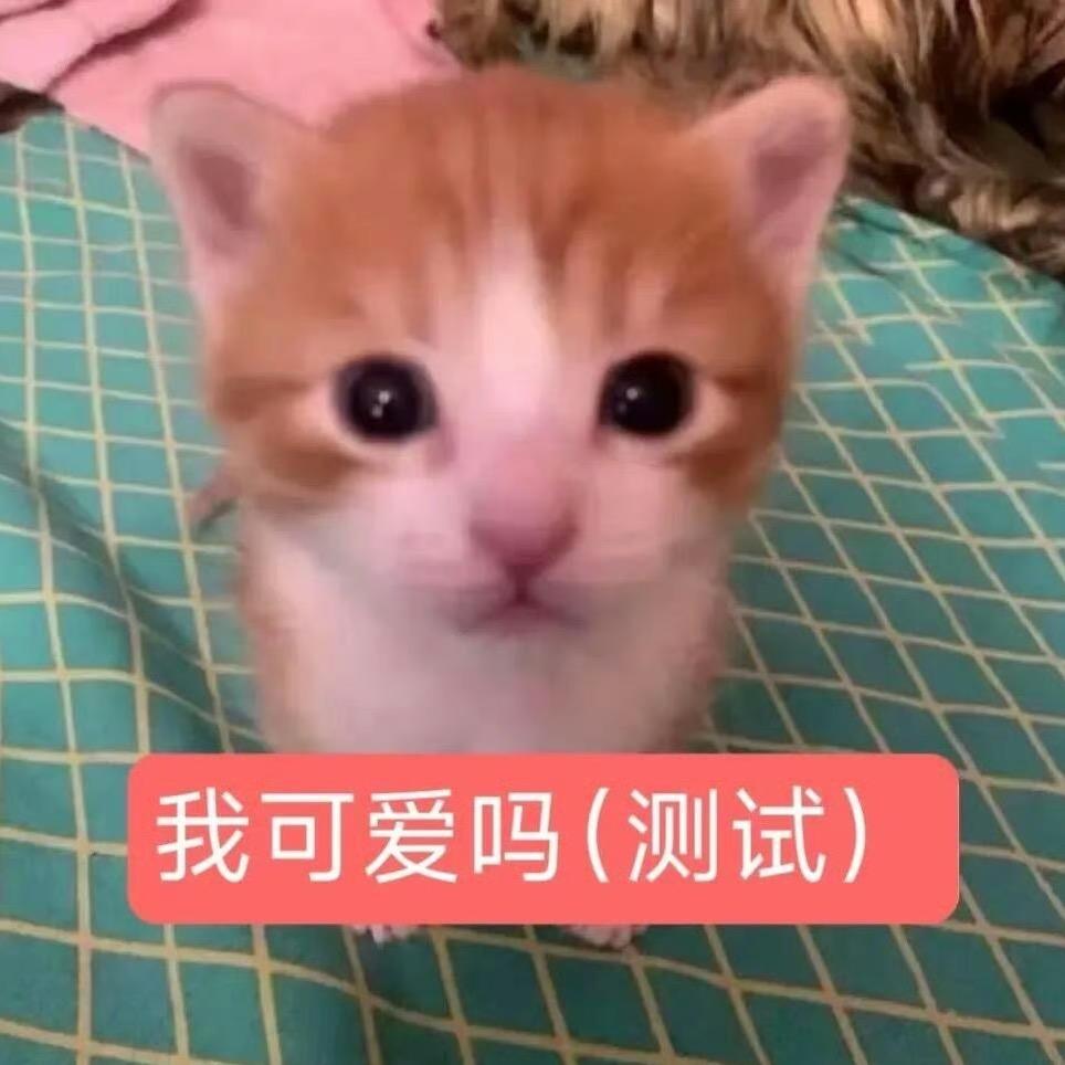 理理我
