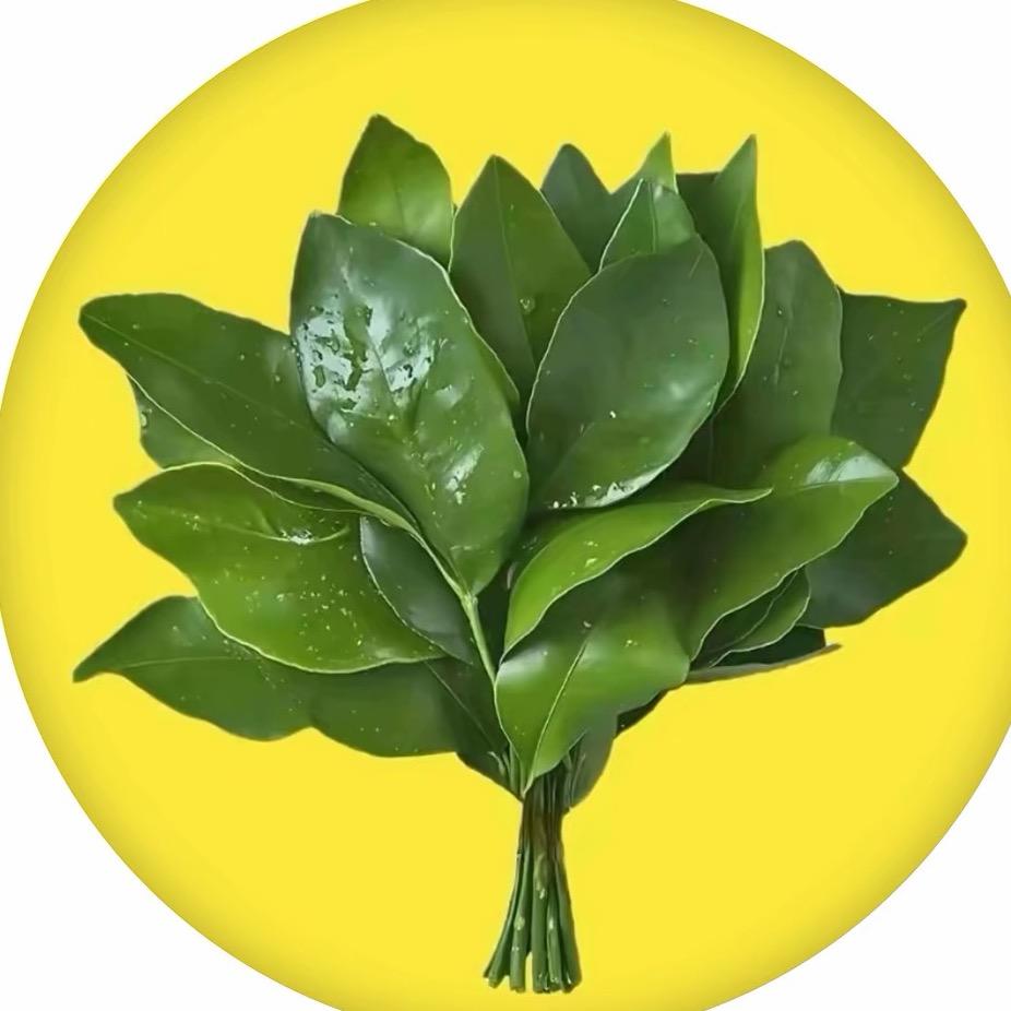 彦彦