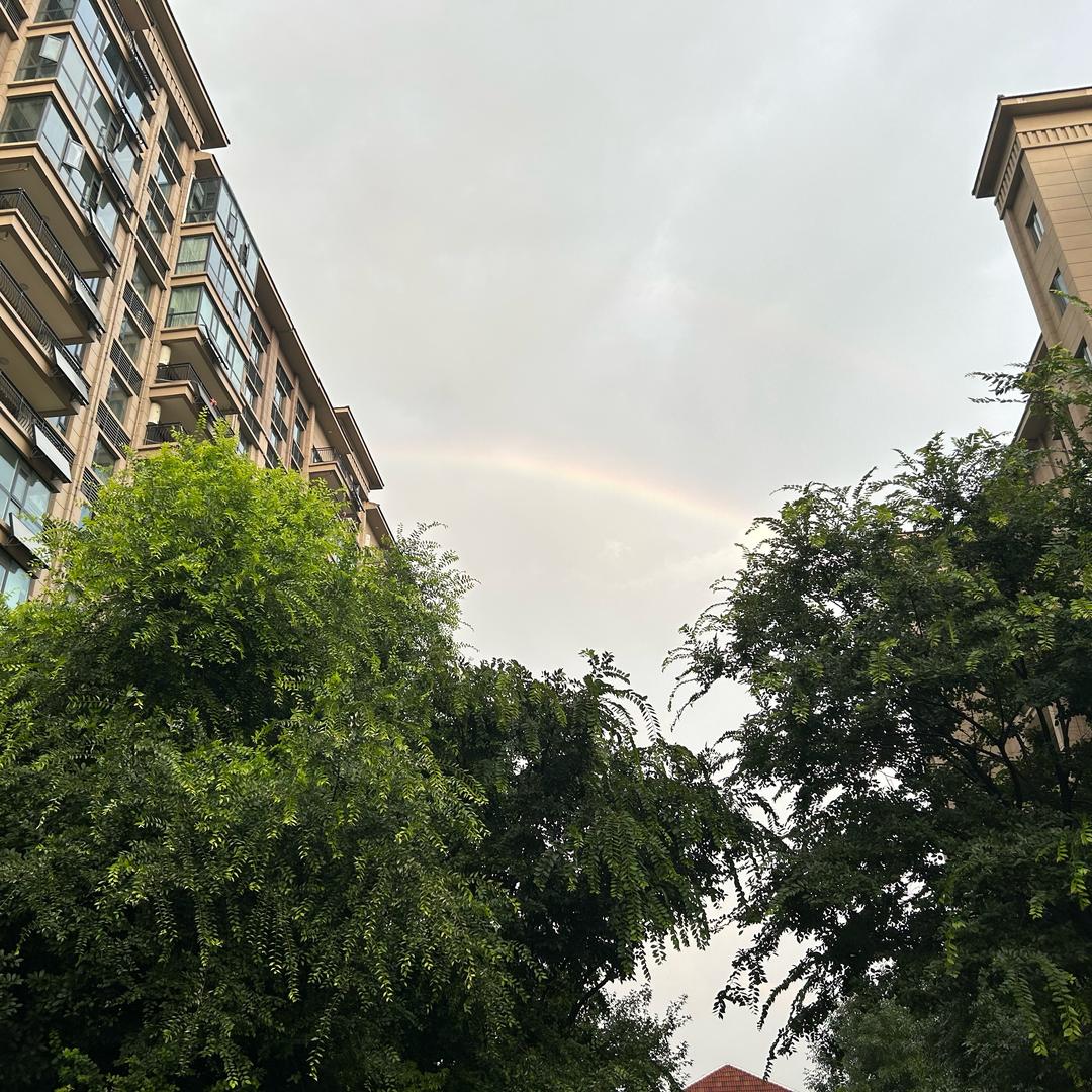 海绵帮🌞