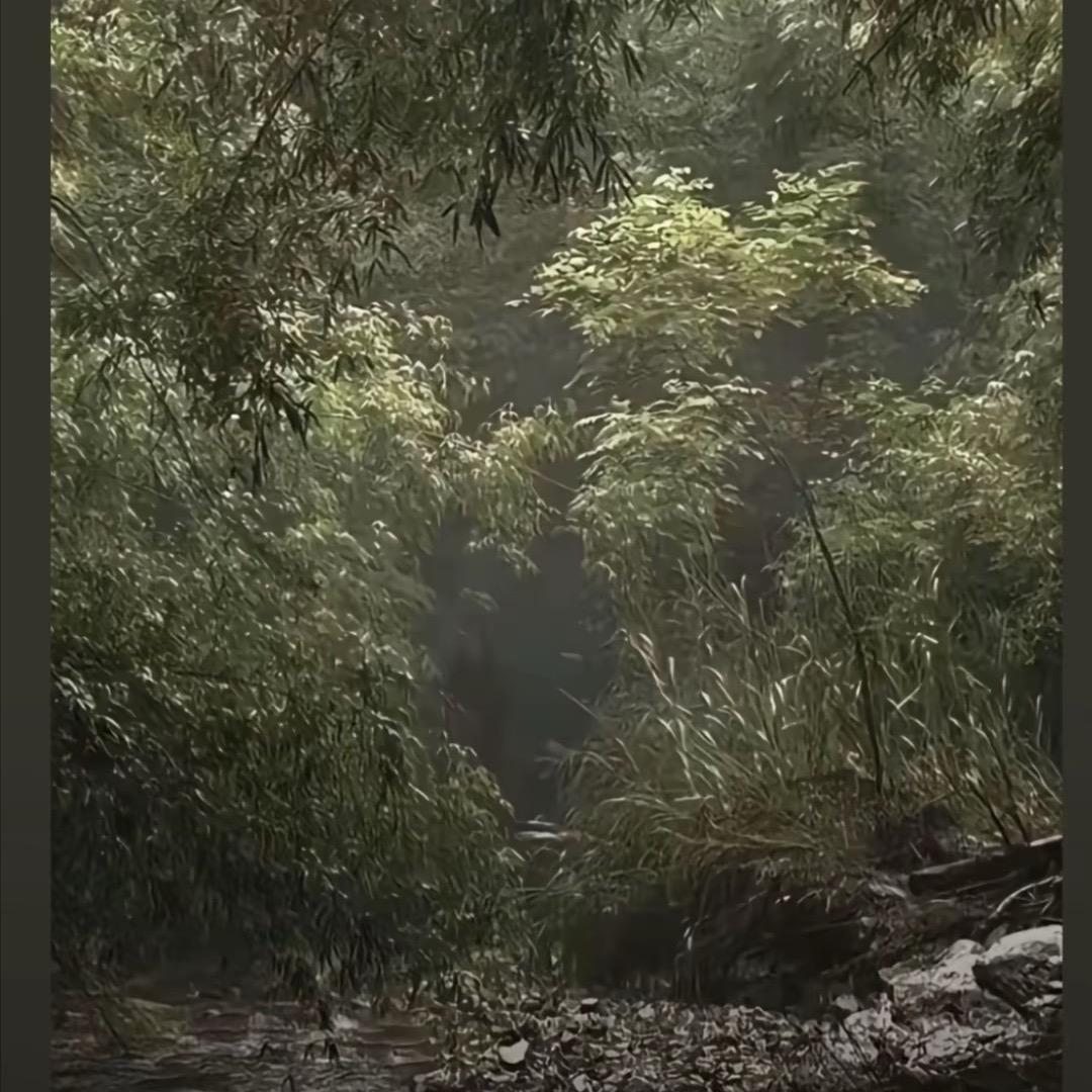 山哥小哥朋友圈