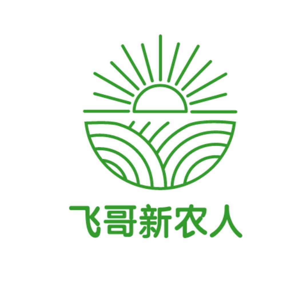 飞哥新农人