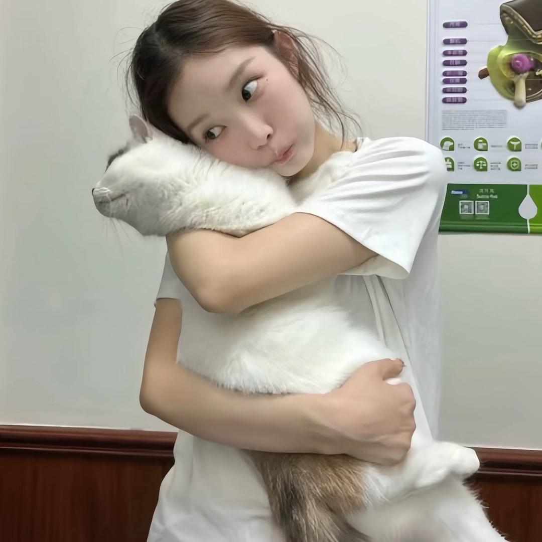 呆呆兽