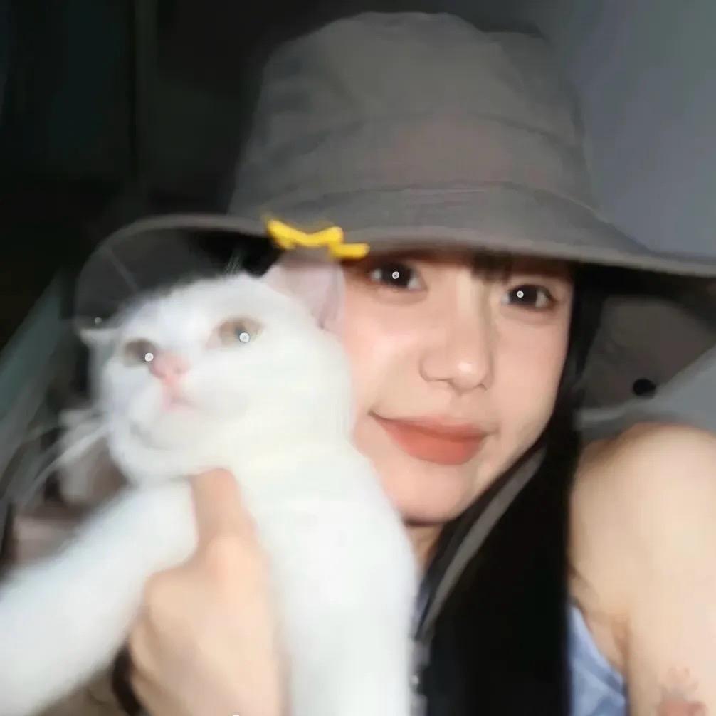 喵里喵气𝗞𝗼𝗶𝗺𝗶𝗮𝗼🧸