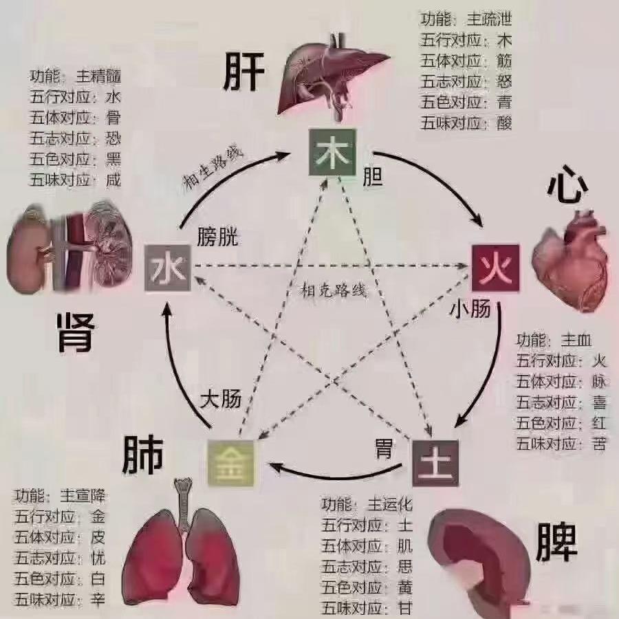 聪聪
