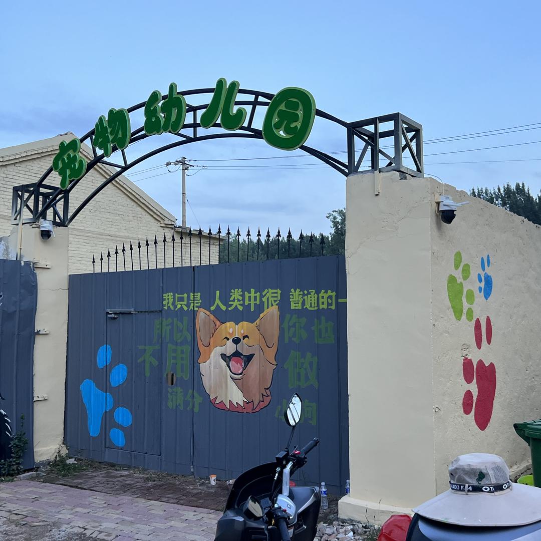 聊城训犬师&优芙宠物训导工作室
