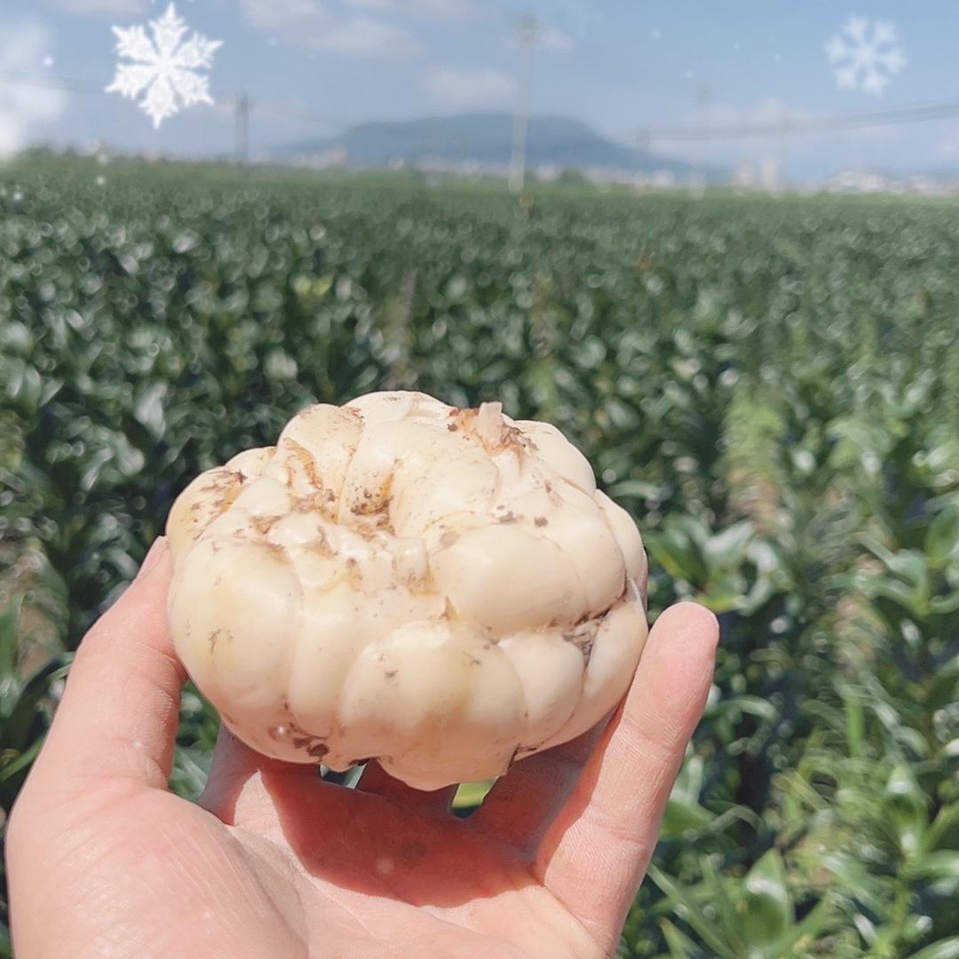 森焱福农产品严选