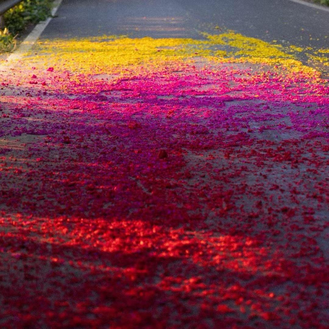 红利花炮