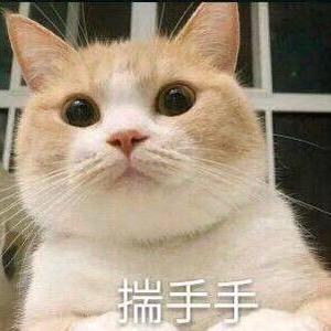 七安.
