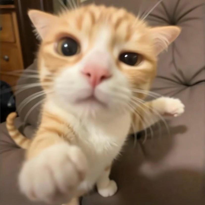 圣主