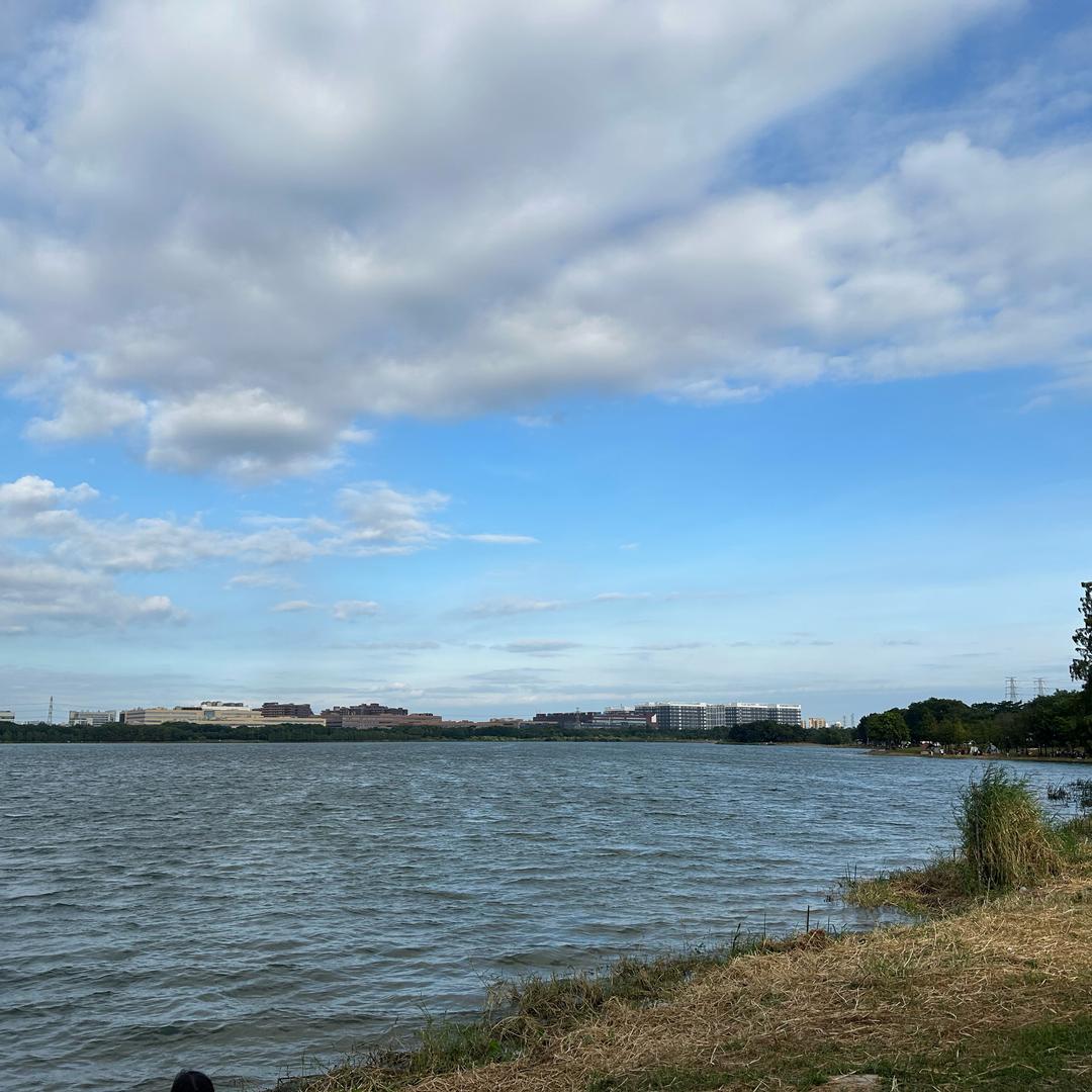 এ᭄ღ归零ృ༊