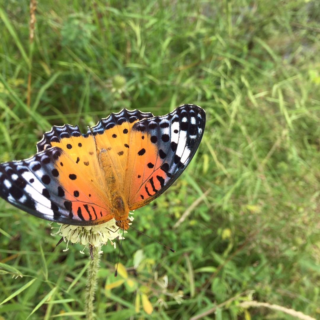 背包藏着山河路