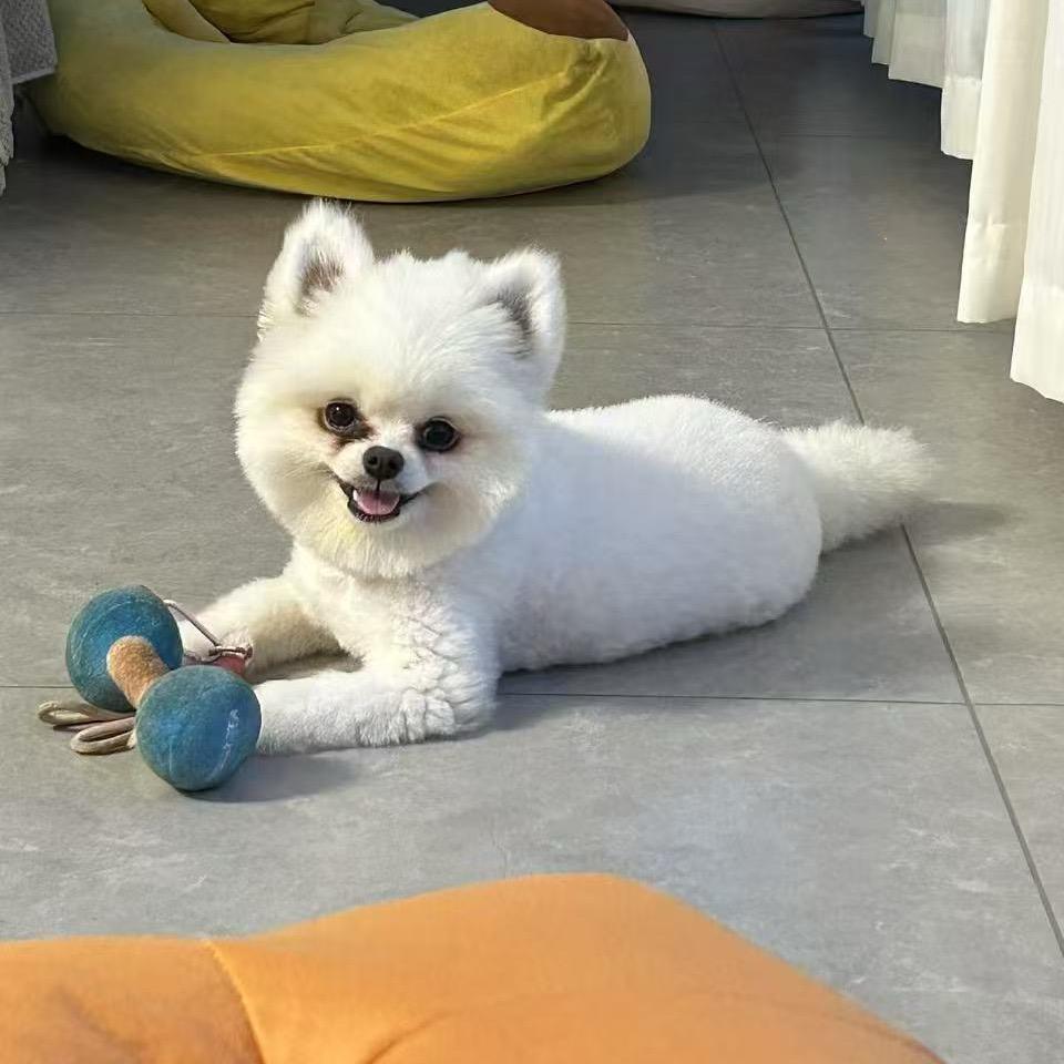 谁偷了我的内裤
