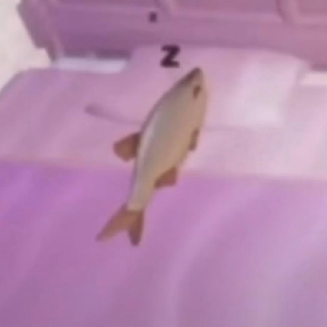 狗不会说人话人会狗叫这是否公平