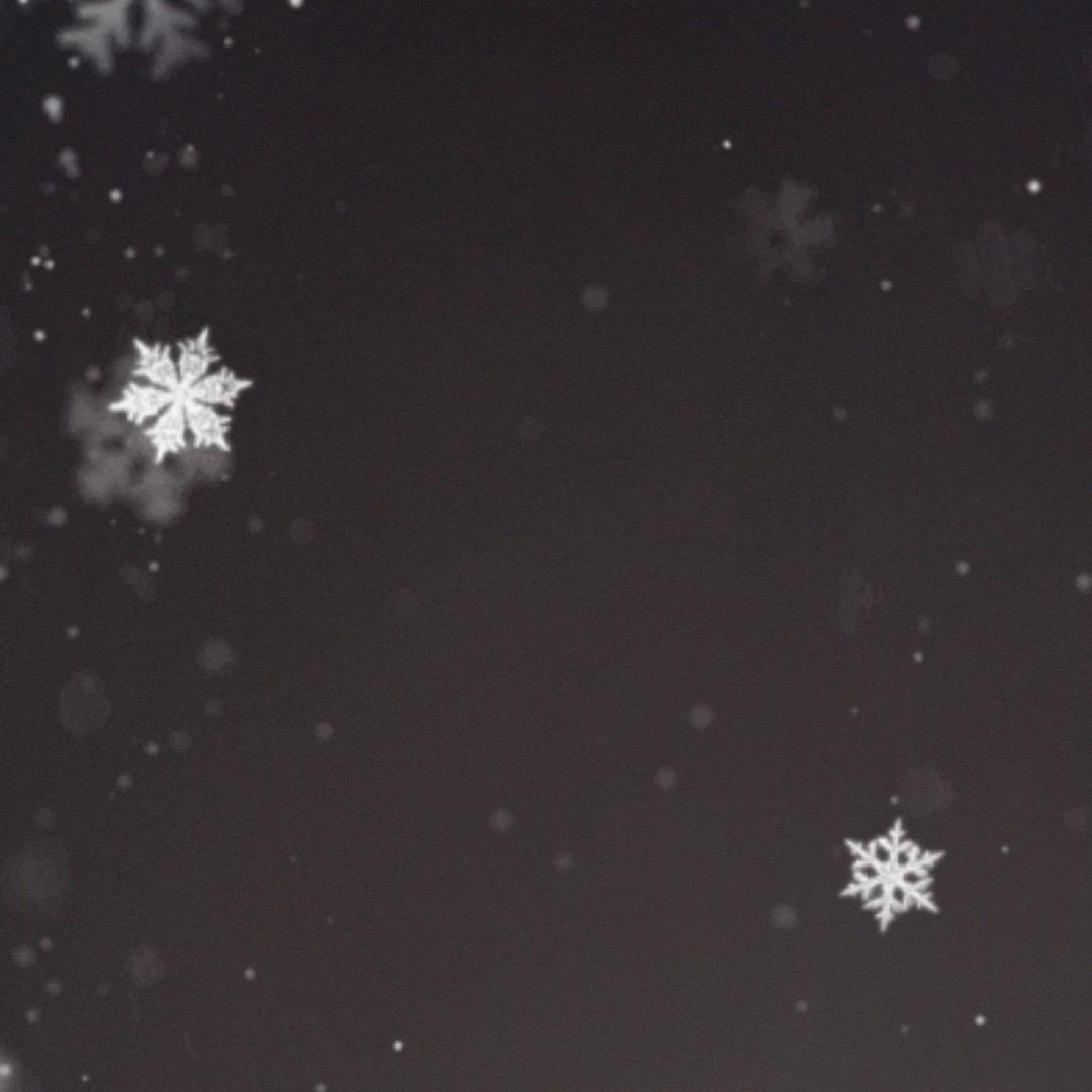 ㅤ ㅤ‍‍    ‍骑士