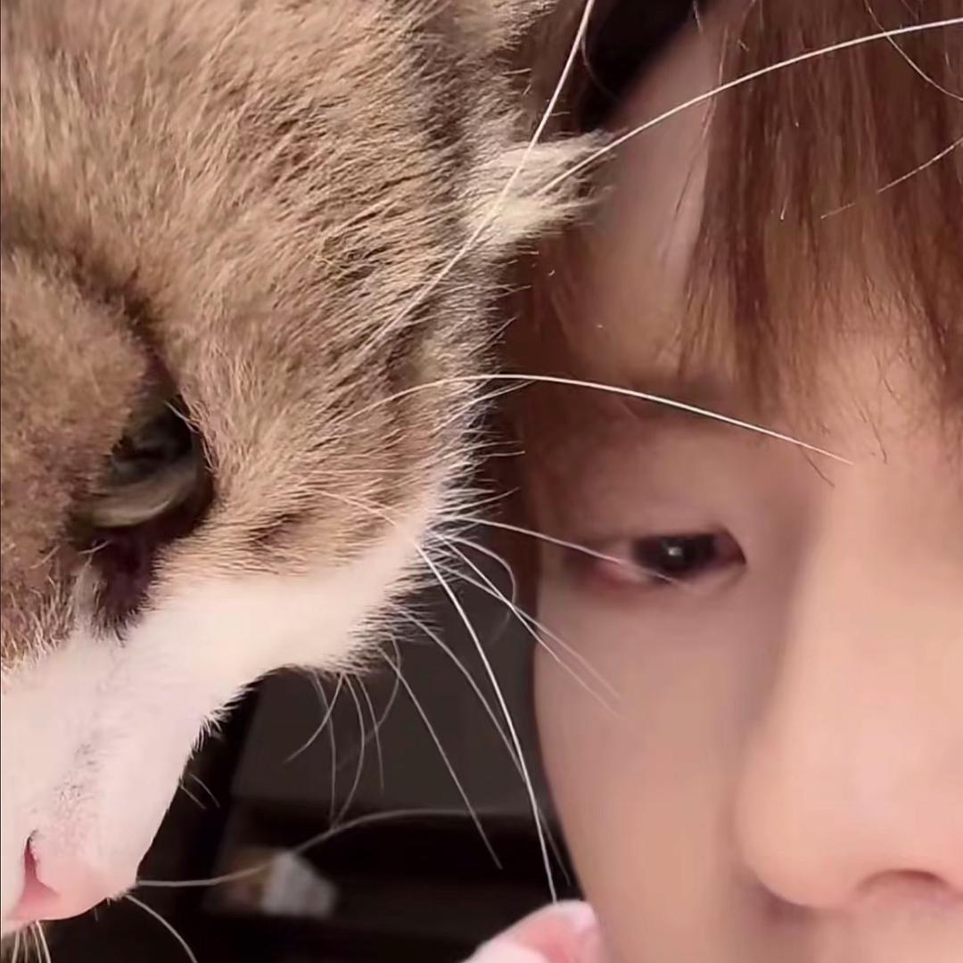 ᵖᵖᶻ好似与你热恋过¹⁰³¹