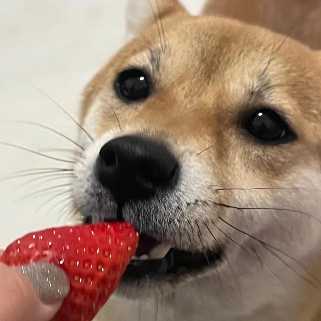 呦包❤️