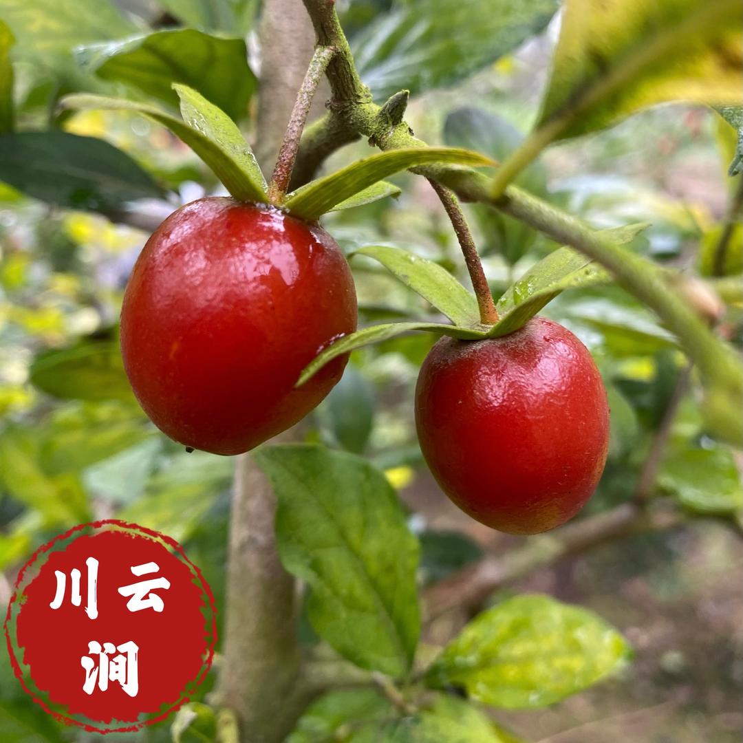 云涧小院