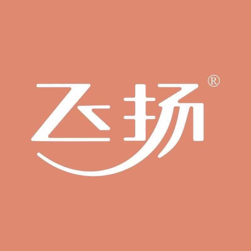 飞扬高端窗帘轨道