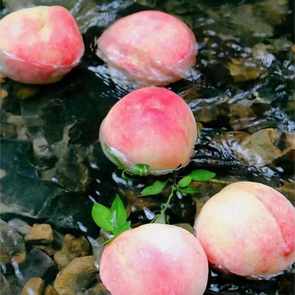 水蜜桃无锡新鲜水果