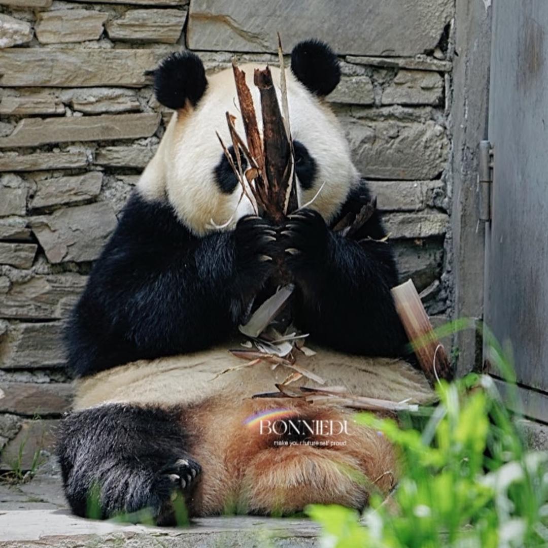 是小福啊