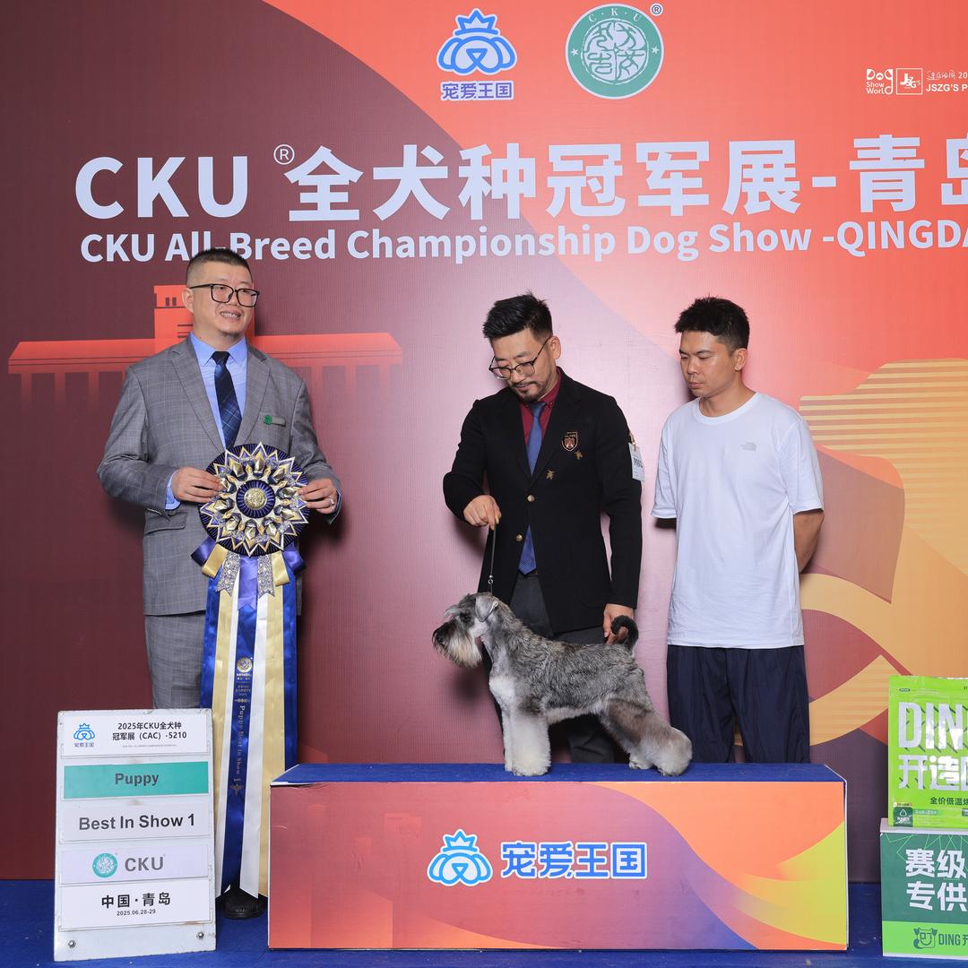 雪帝宠物犬舍💕