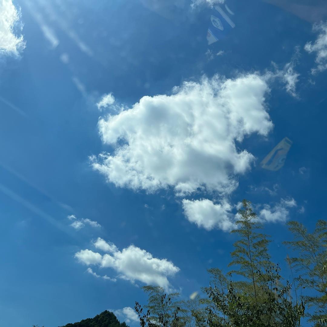 昕桐