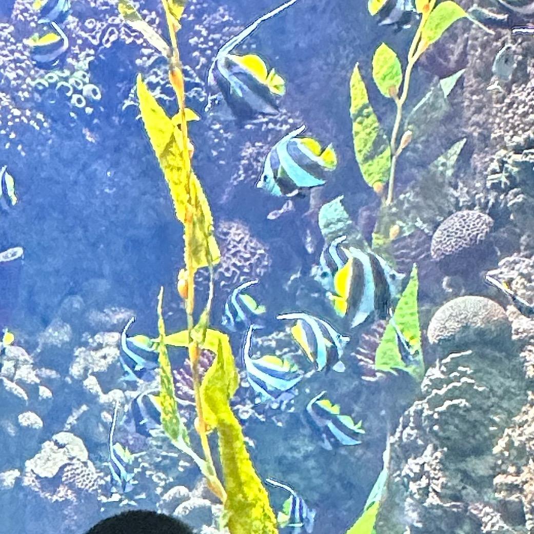 饿了旅途