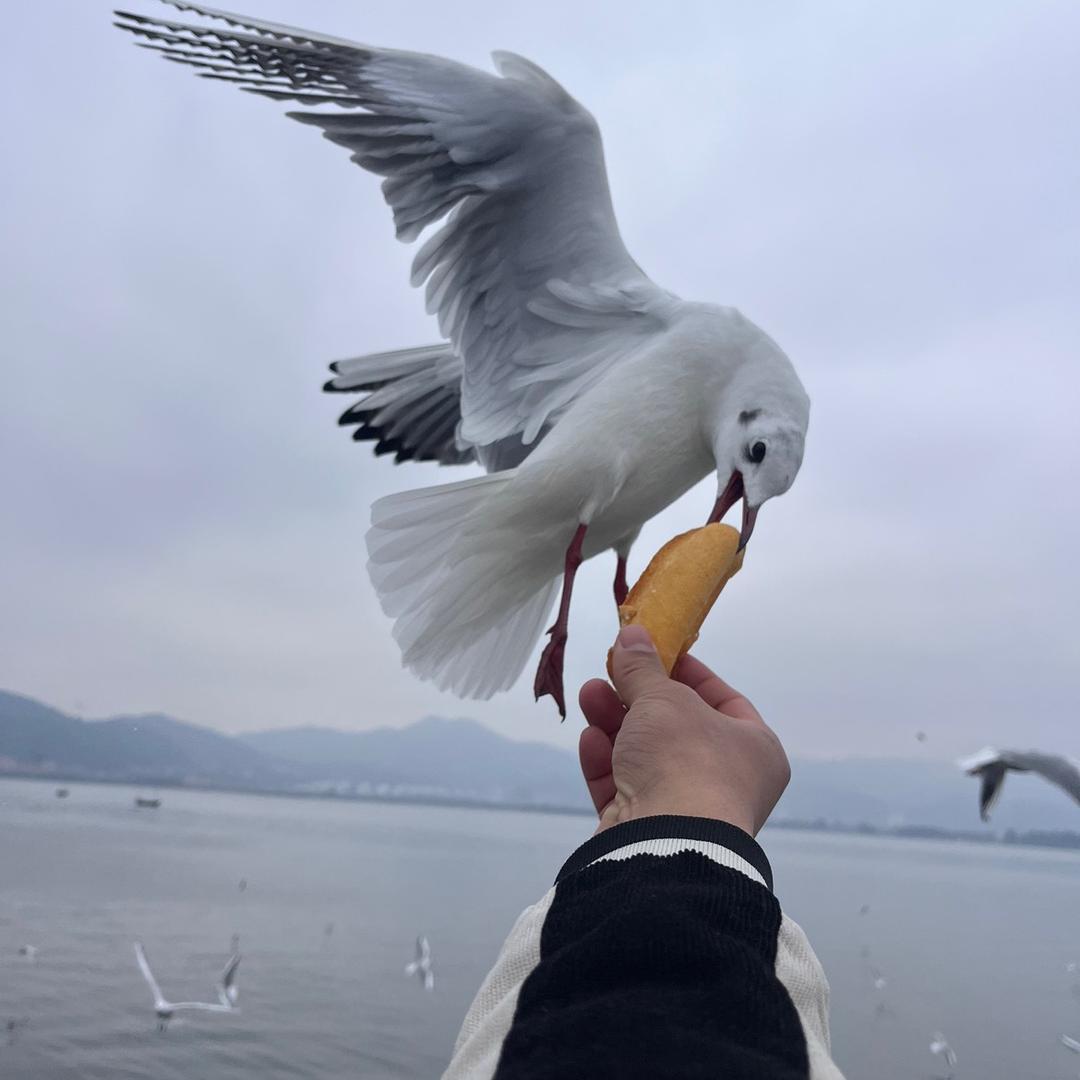 天宇、