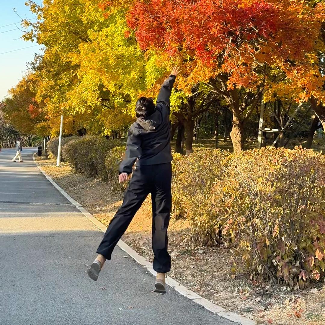 木木的旅行日记