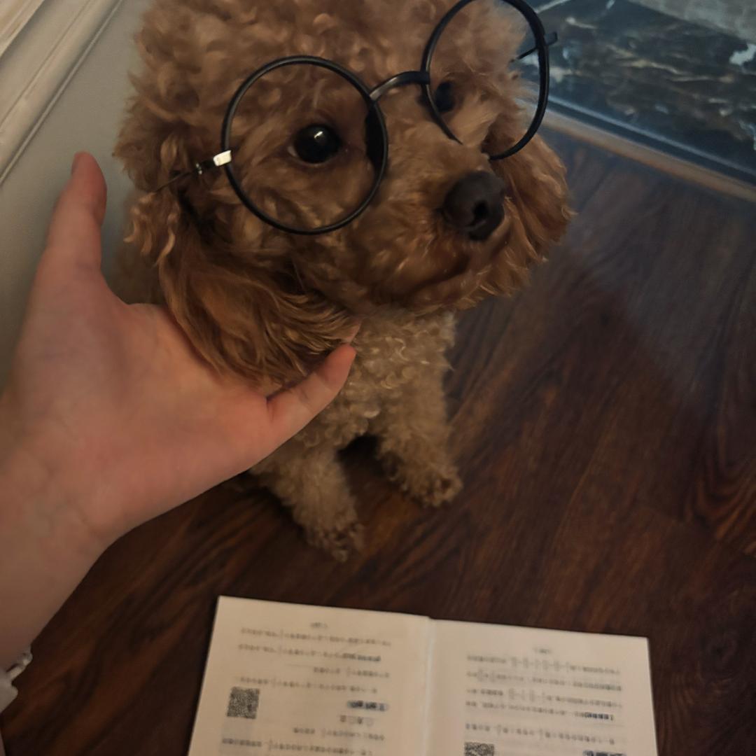 什么真的假的