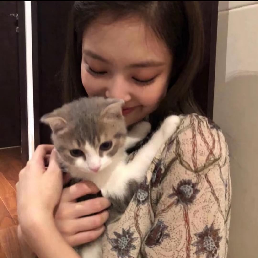 momo.